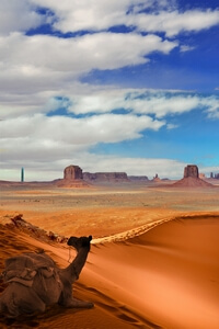 Sahara Maroc